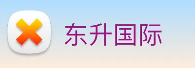 东升国际 Logo